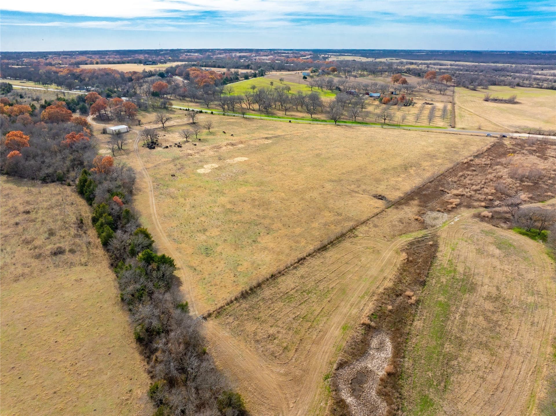 144 acres in Ellis County - photo 9