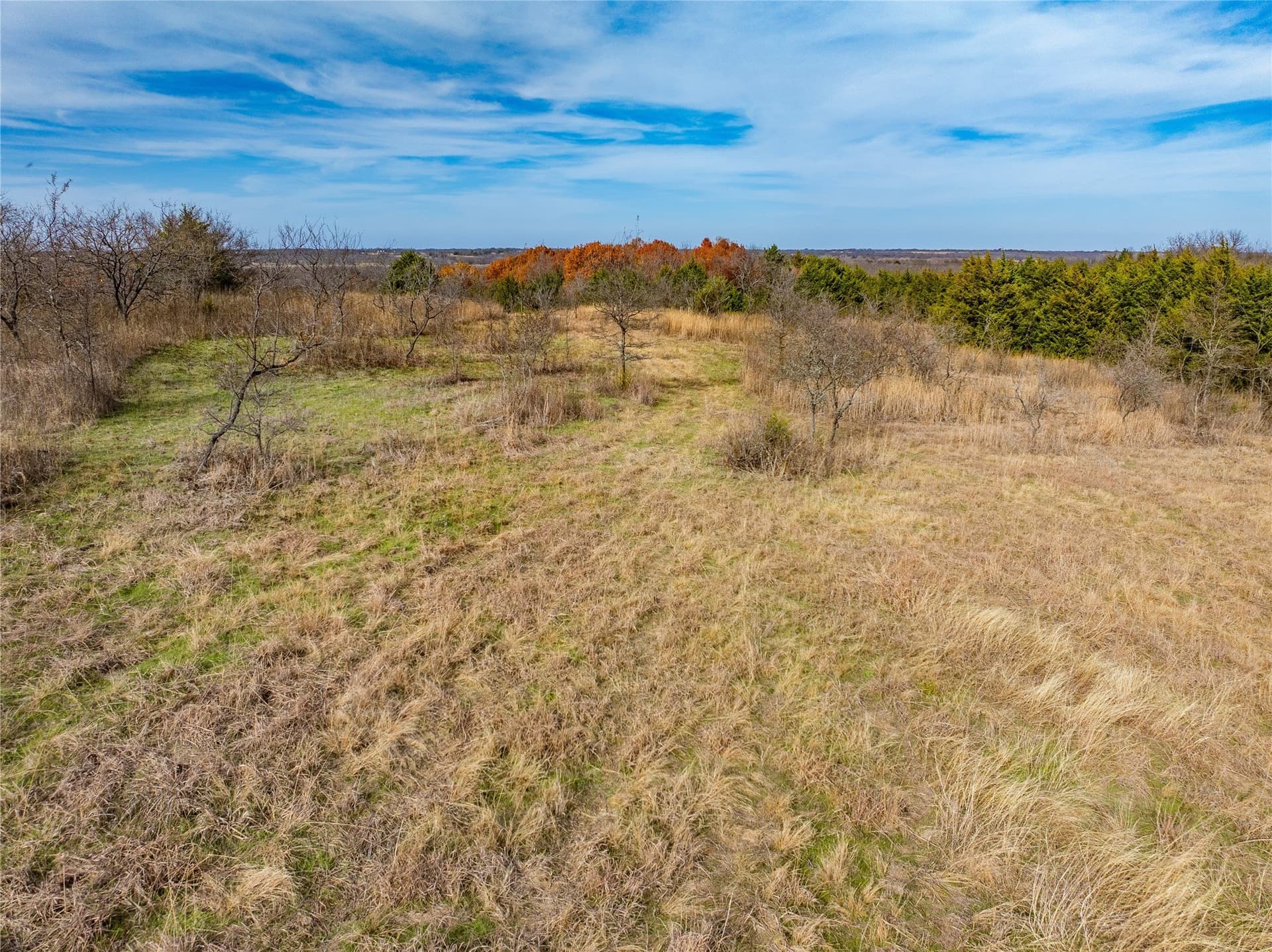 144 acres in Ellis County - photo 36