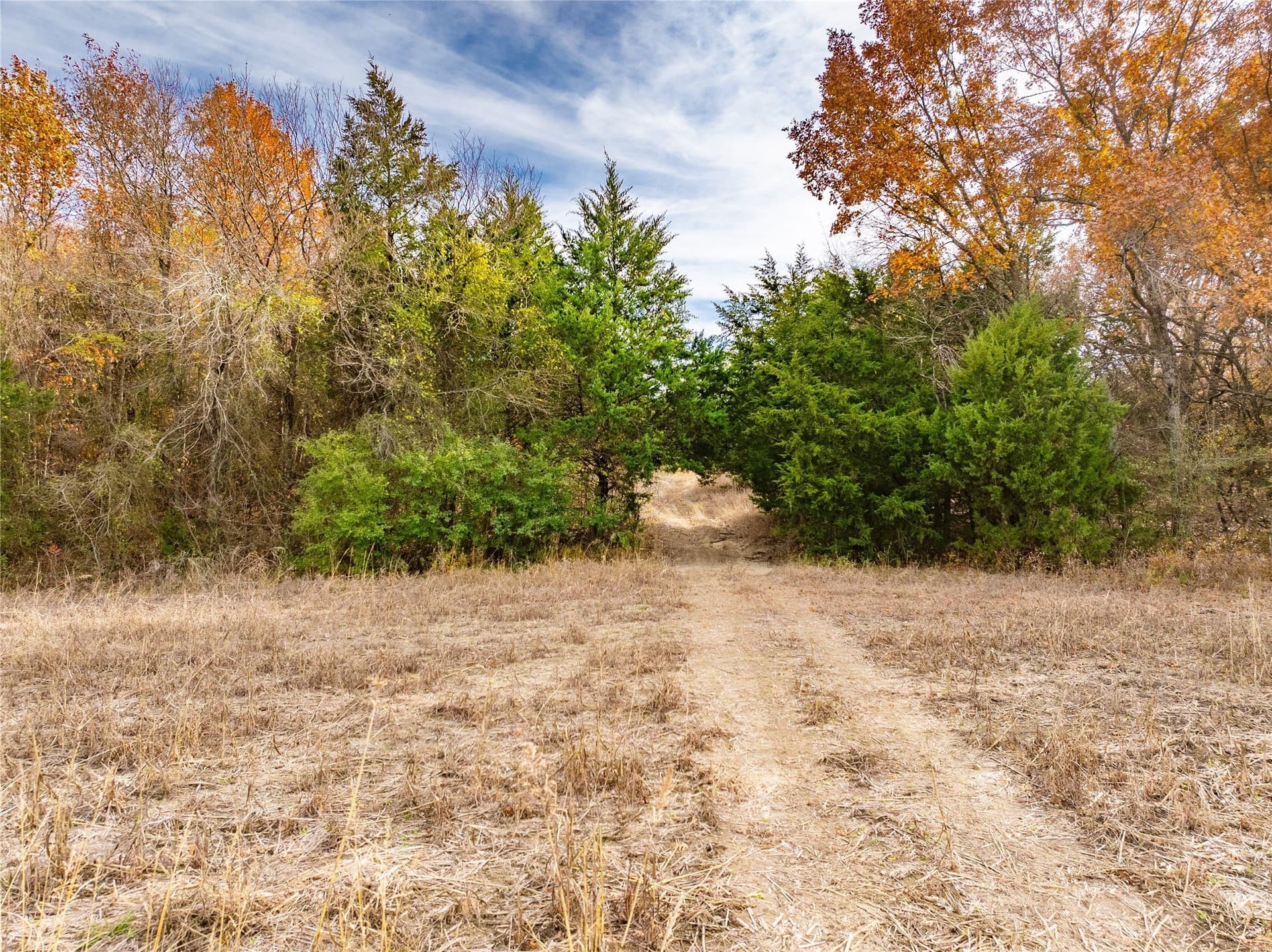144 acres in Ellis County - photo 28