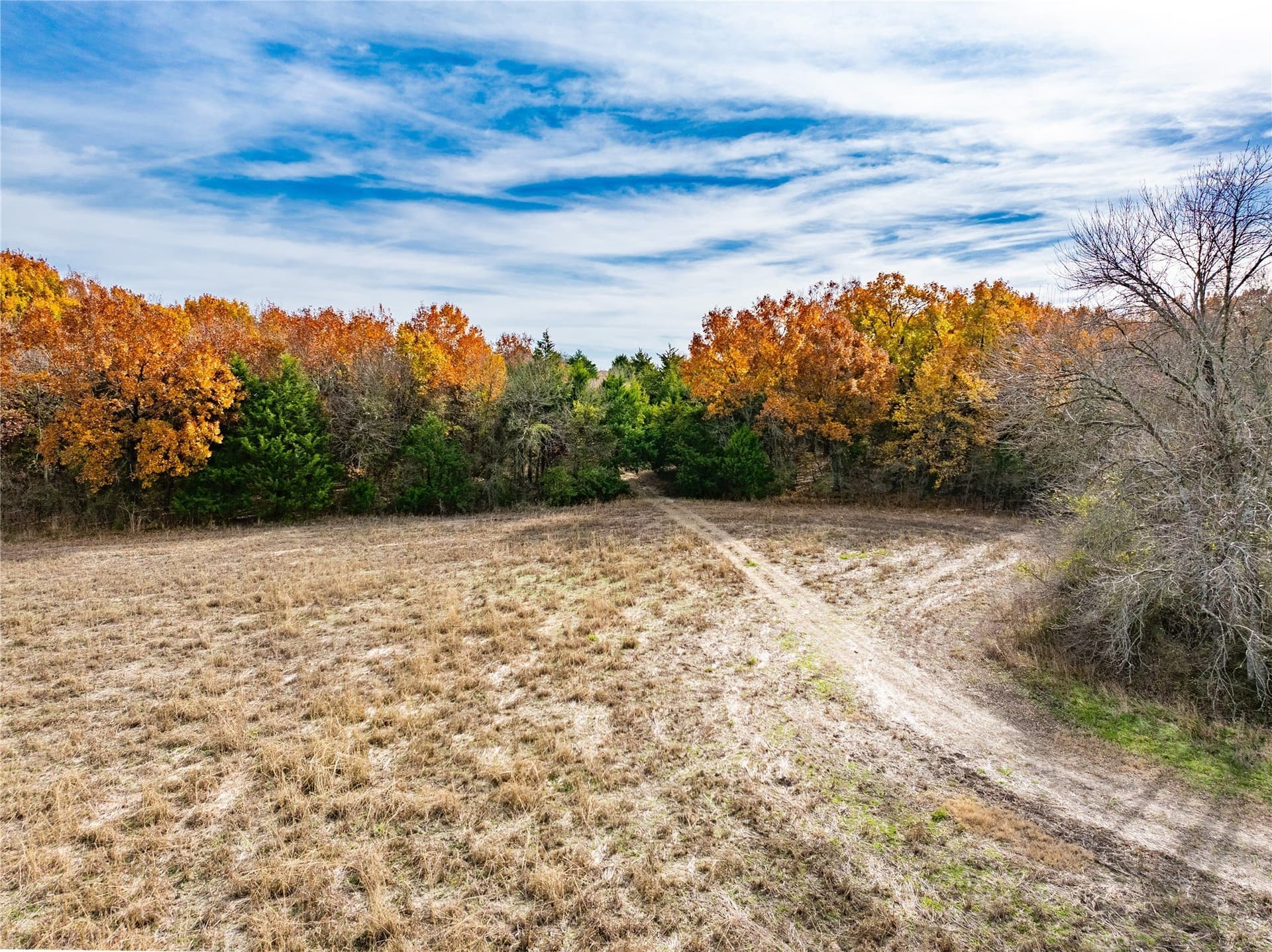 144 acres in Ellis County - photo 26