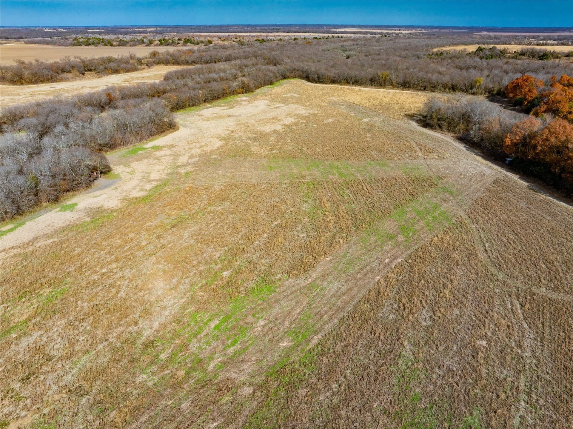 144 acres in Ellis County - photo 21