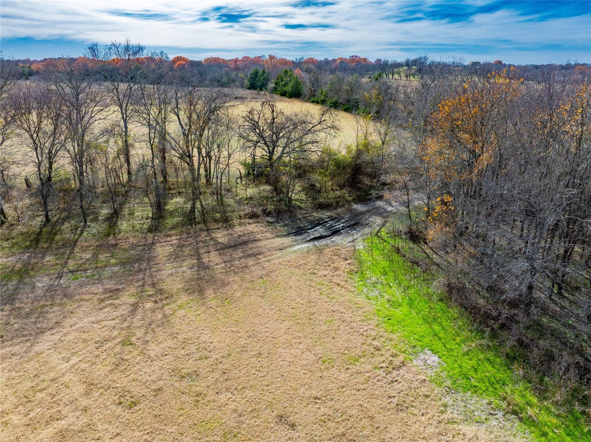 144 acres in Ellis County - photo 15
