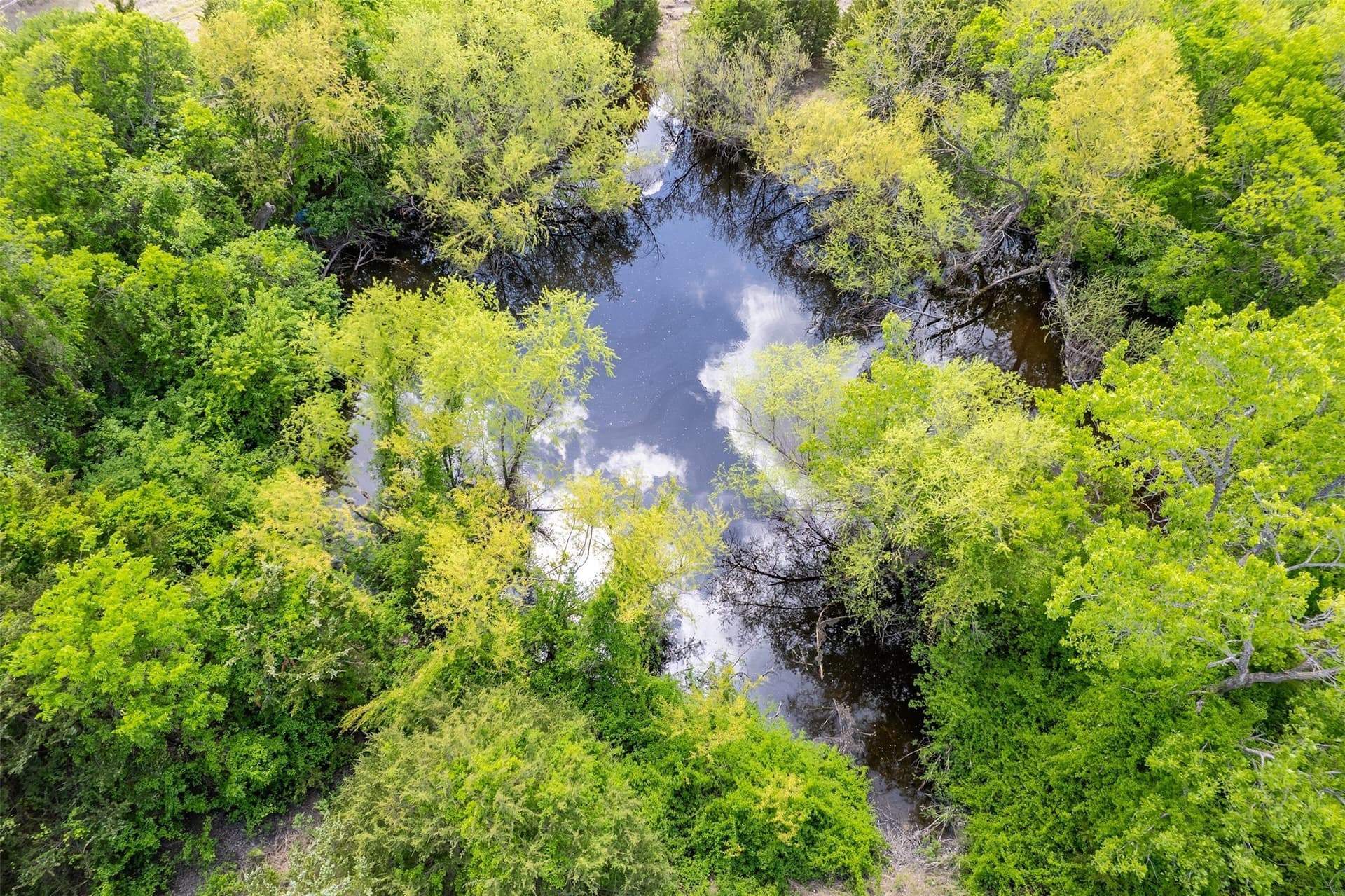 13.62 acres in Collin County - photo 7