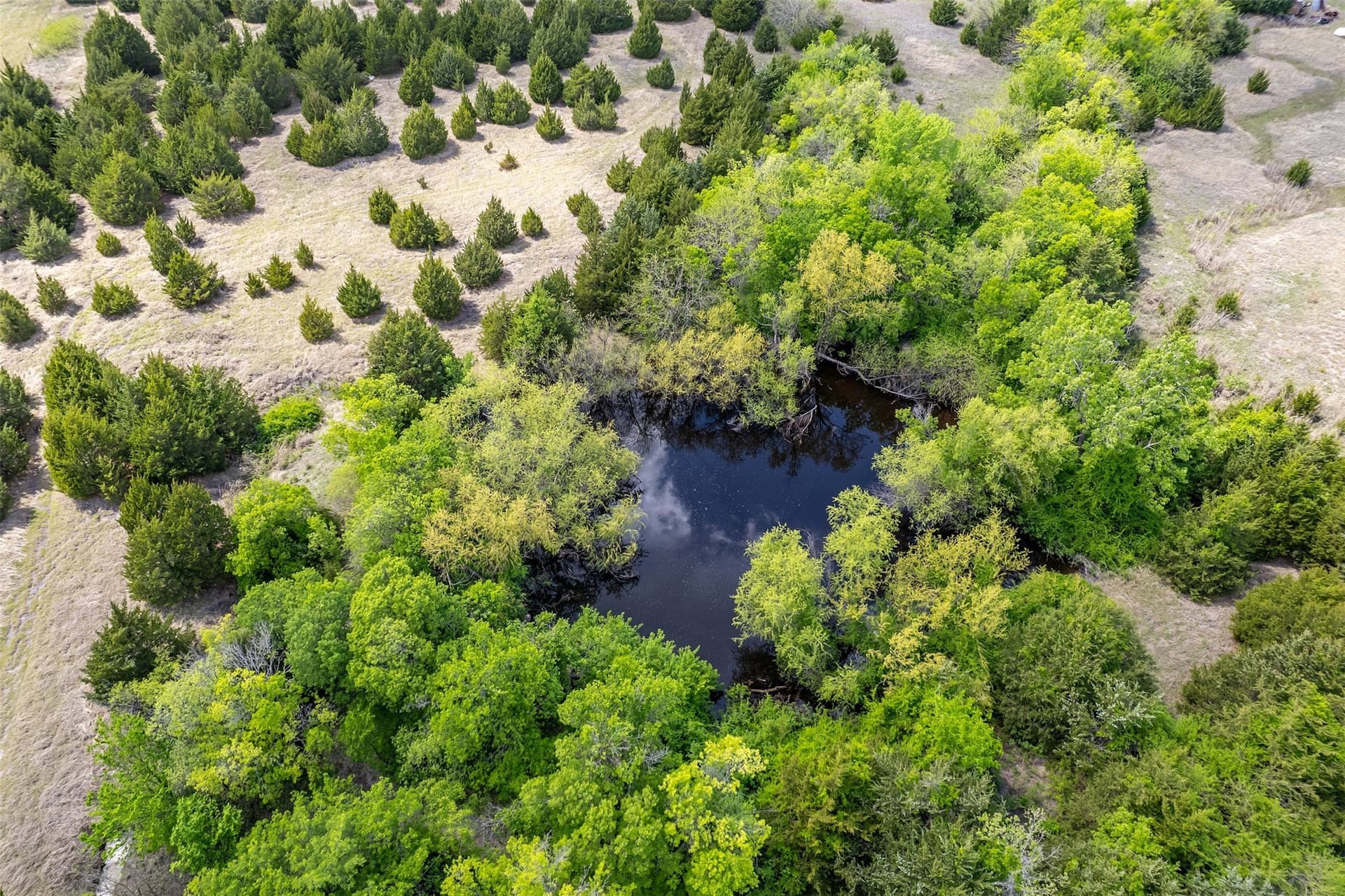 13.62 acres in Collin County - photo 6