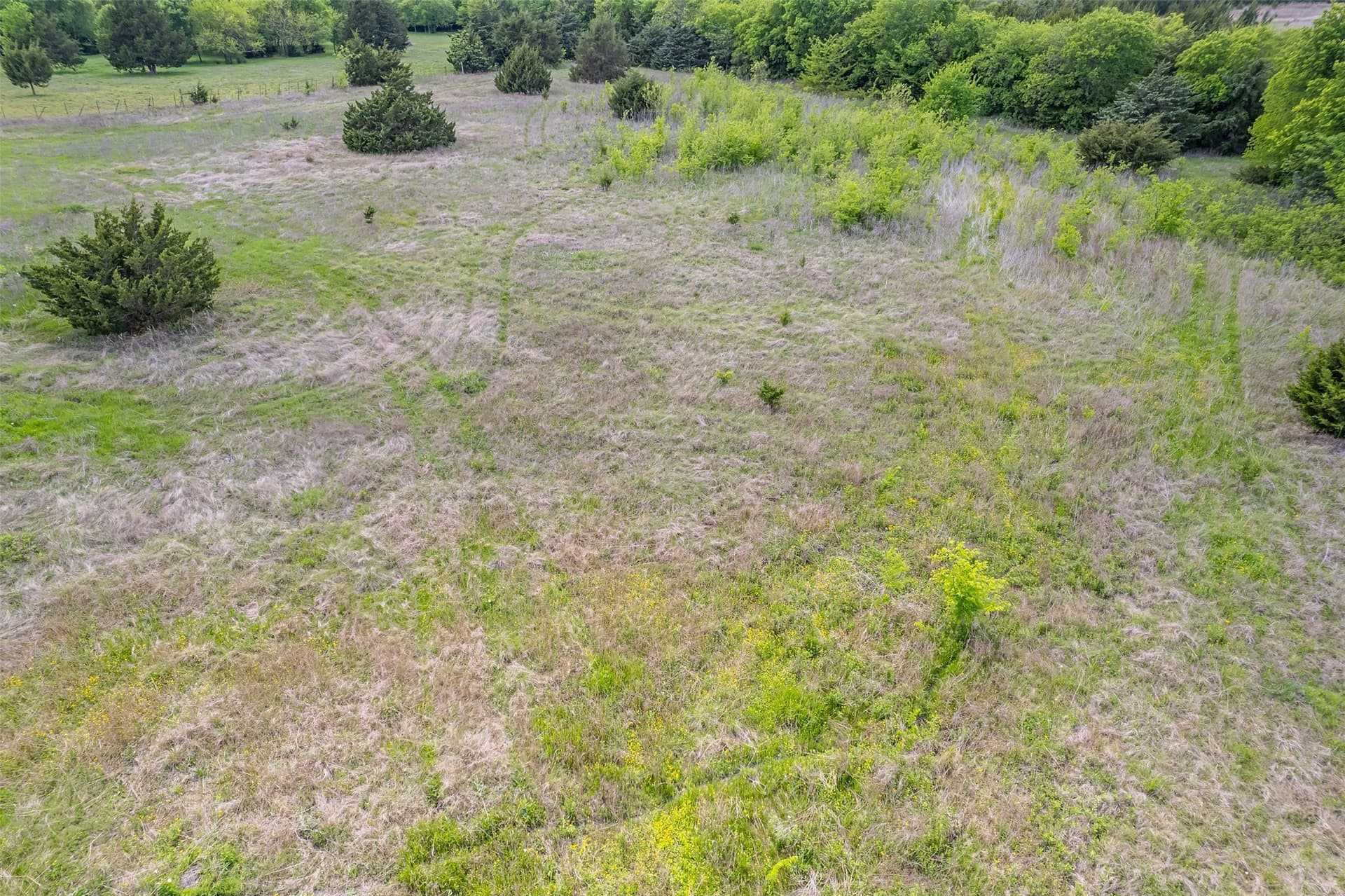 13.62 acres in Collin County - photo 9
