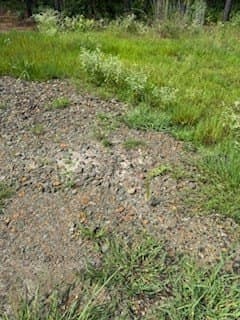 5 acres in Texas County featured view