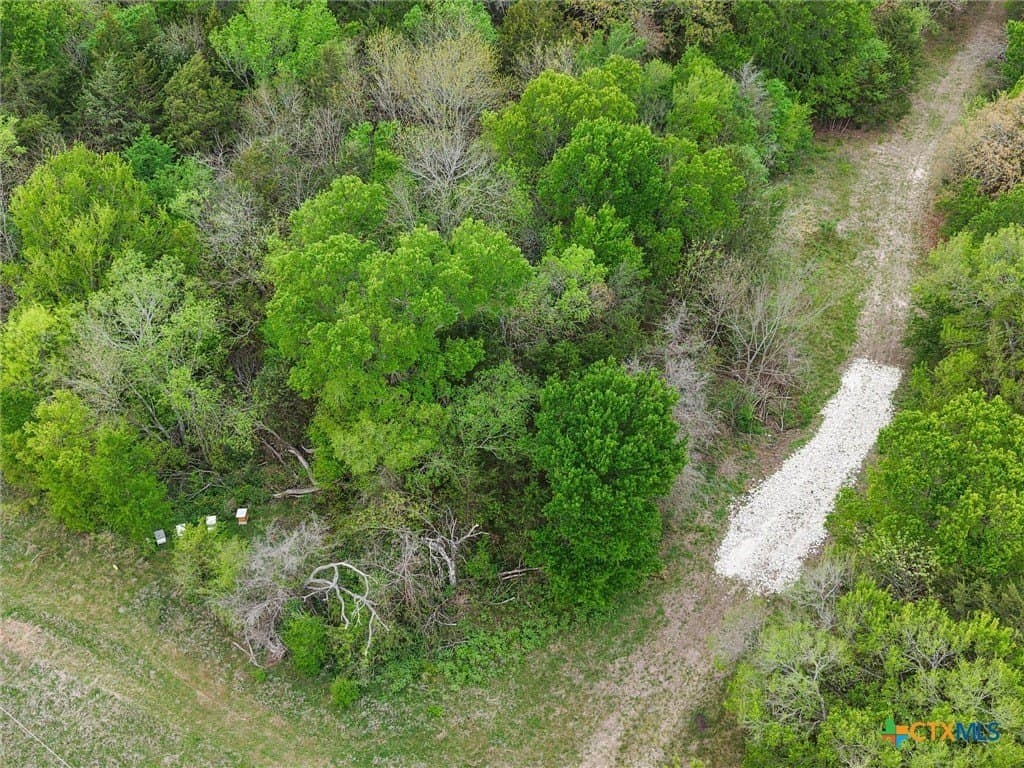 96.14 acres in Navarro County - photo 21