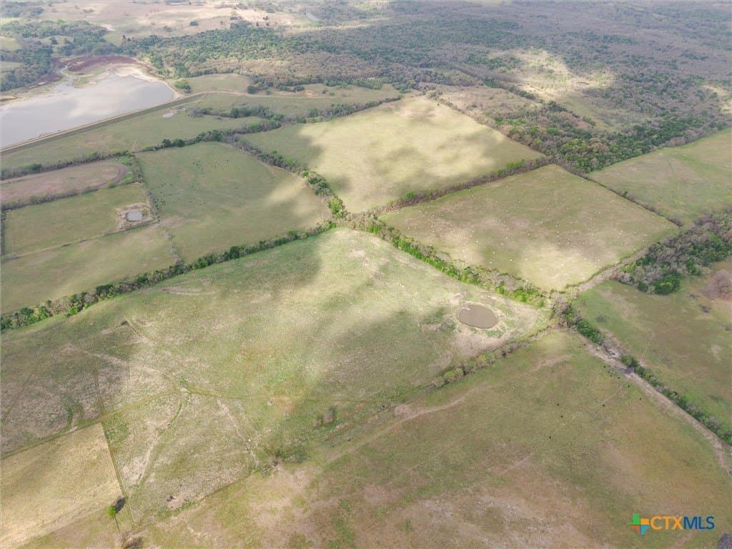 96.14 acres in Navarro County - photo 7