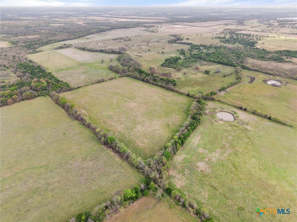 96.14 acres in Navarro County - photo 15
