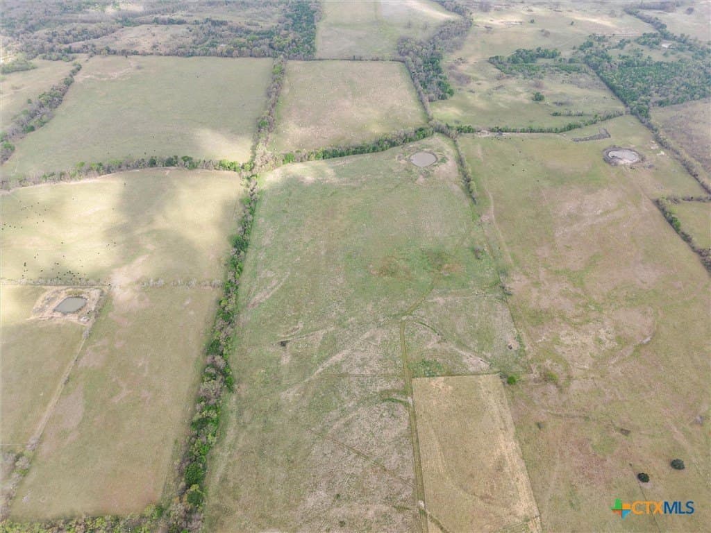 96.14 acres in Navarro County - photo 6
