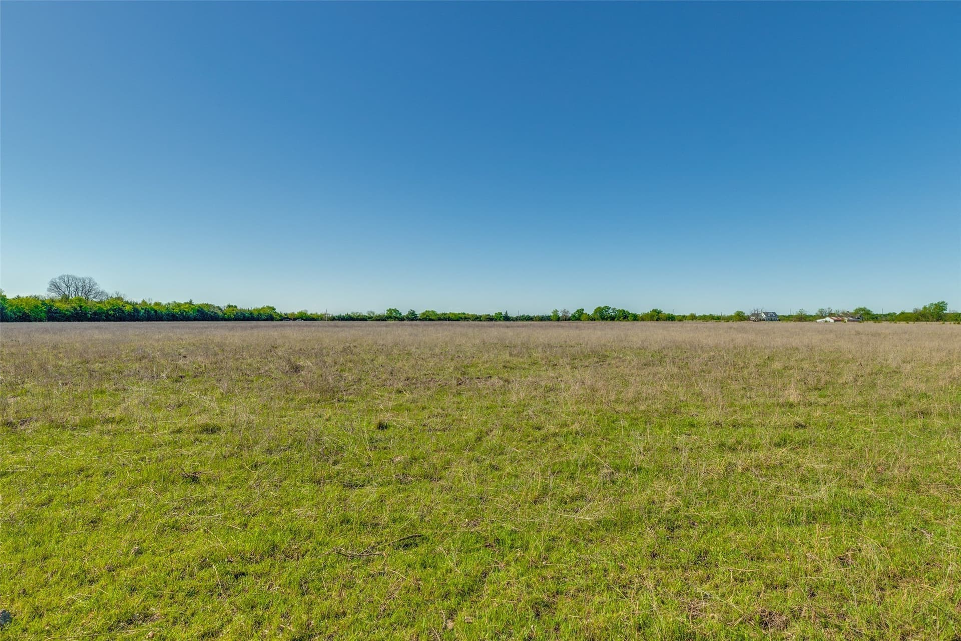 22.66 acres in Fannin County gallery image 4