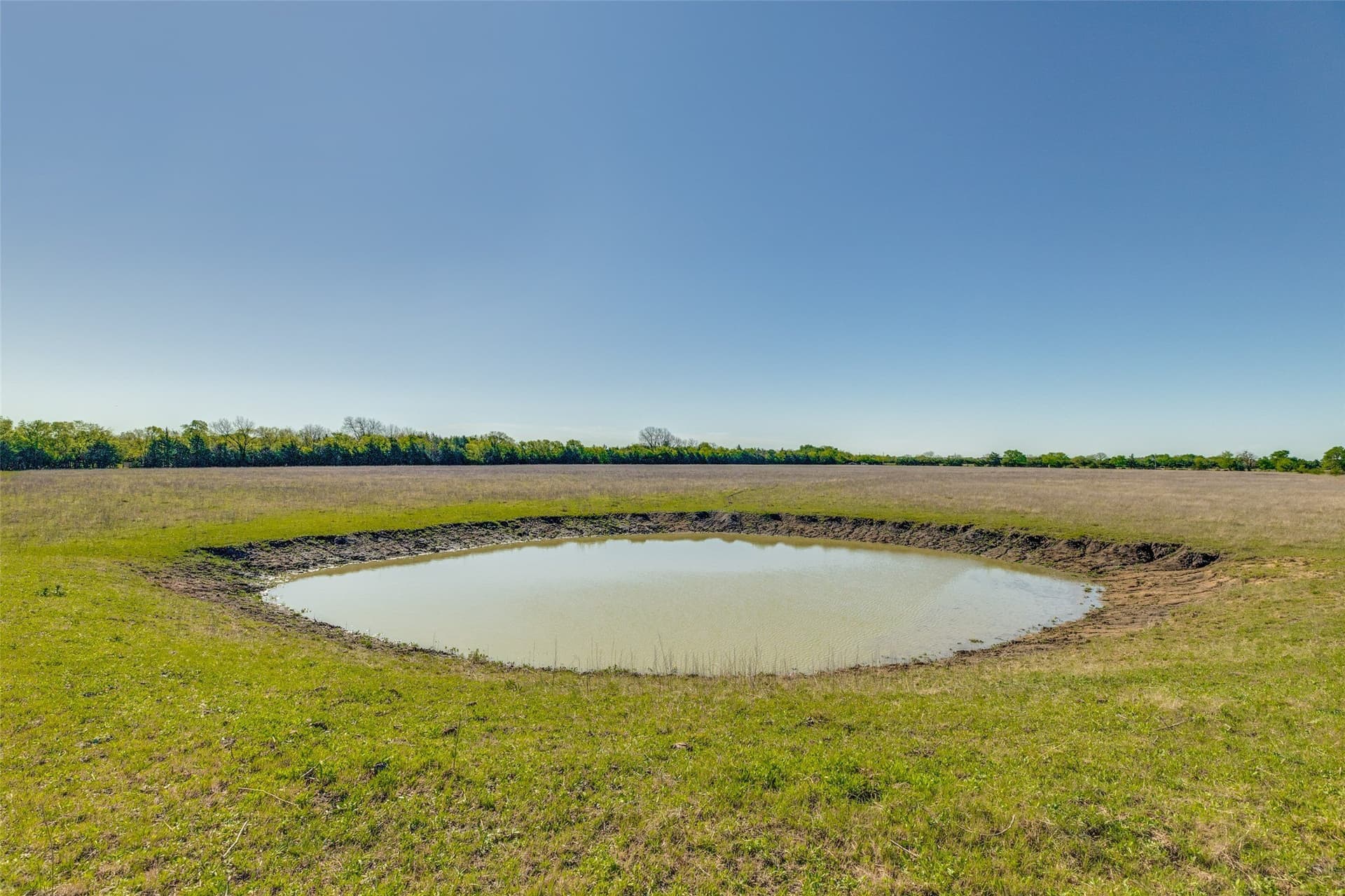 22.66 acres in Fannin County featured view