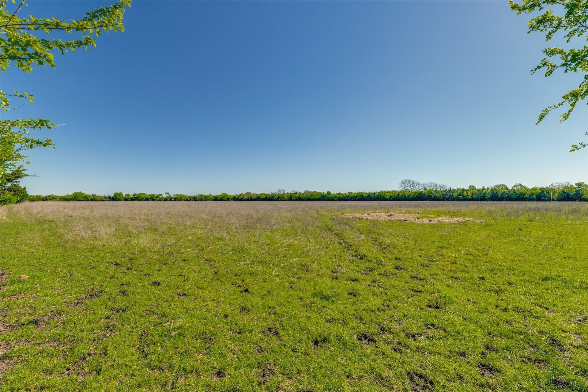 22.66 acres in Fannin County - photo 7