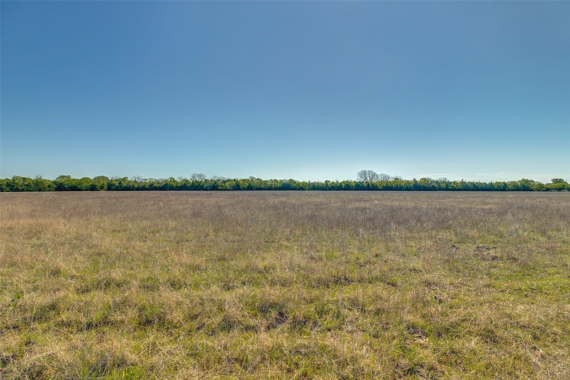 22.66 acres in Fannin County - photo 6
