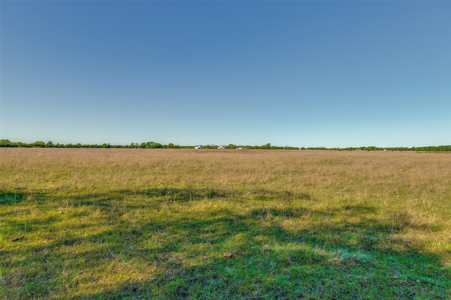 22.66 acres in Fannin County gallery image 3