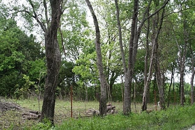 22.66 acres in Fannin County - photo 18