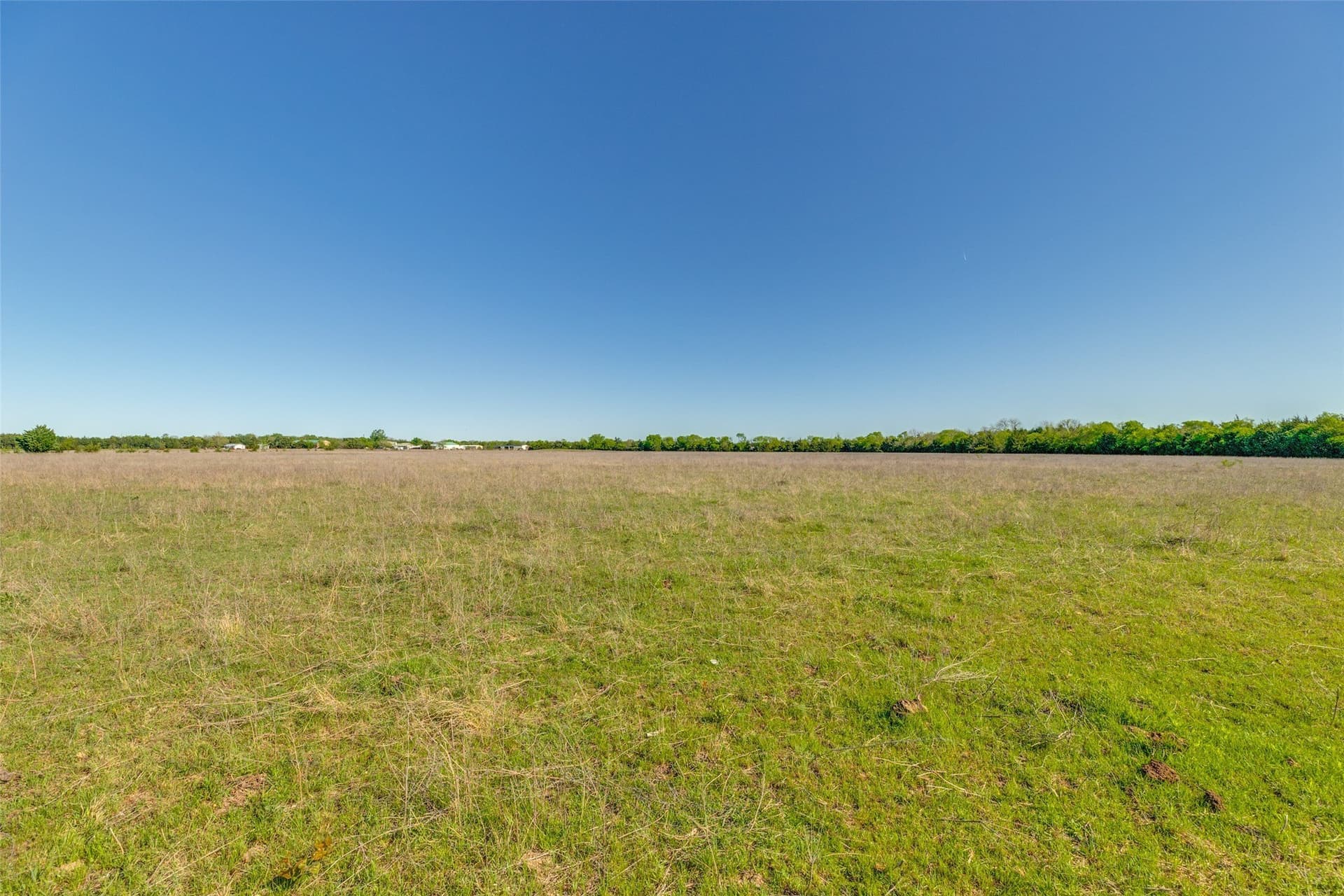 22.66 acres in Fannin County - photo 8
