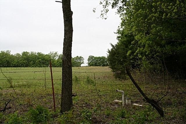 22.66 acres in Fannin County - photo 19