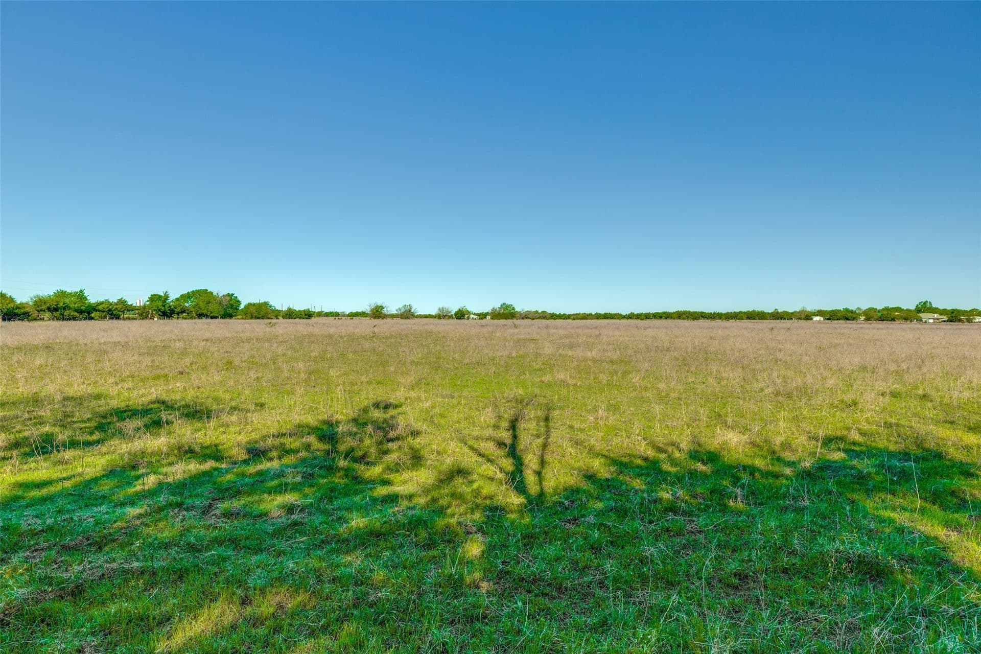 22.66 acres in Fannin County gallery image 2