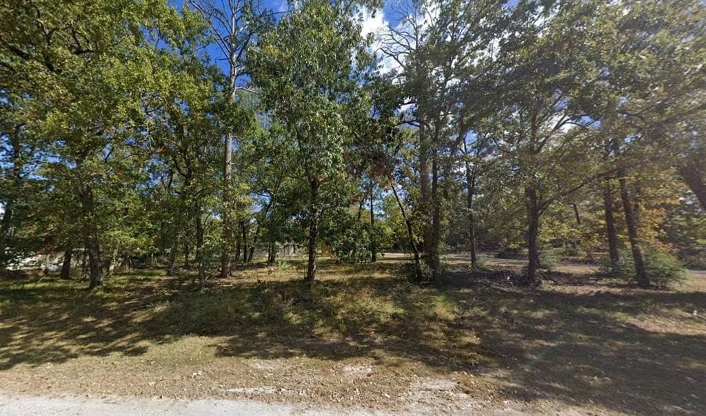 0.51 acres in San Jacinto County gallery image 2
