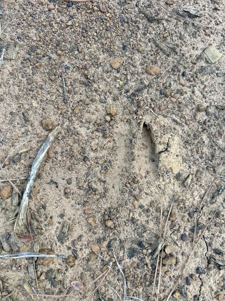 23 acres in Texas County - photo 8