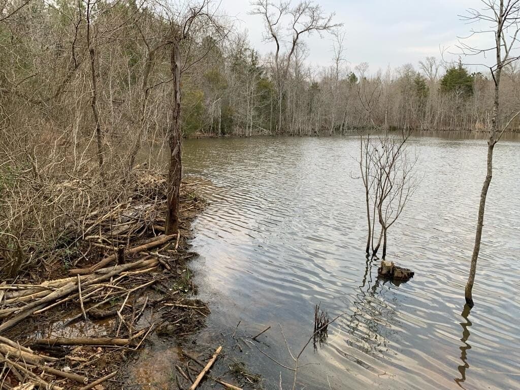 23 acres in Texas County - photo 14