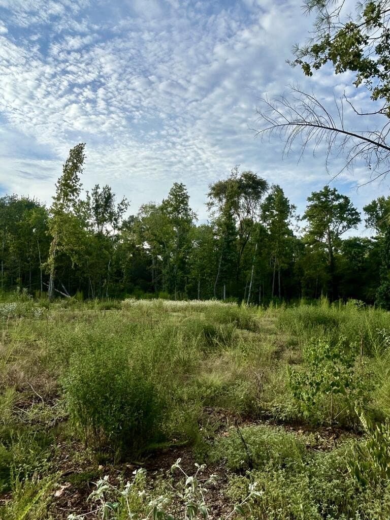 23 acres in Texas County