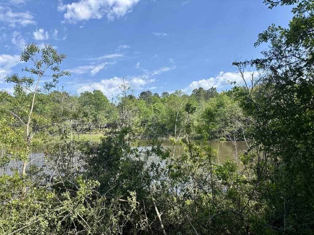 23 acres in Texas County - photo 16