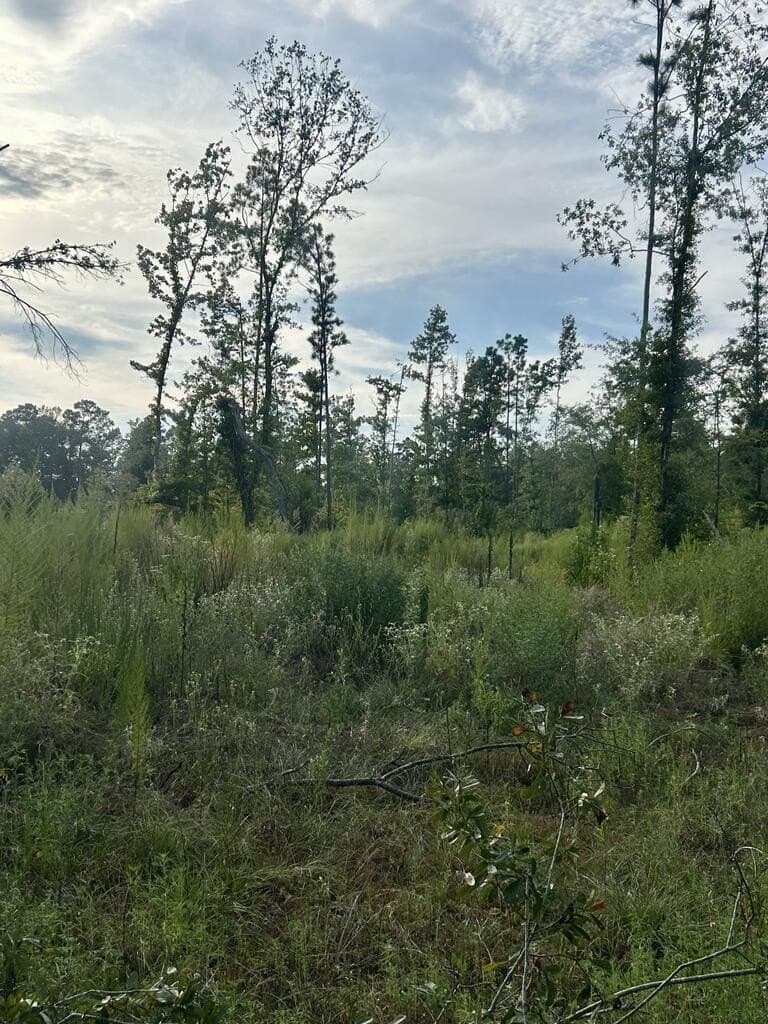 23 acres in Texas County - photo 3
