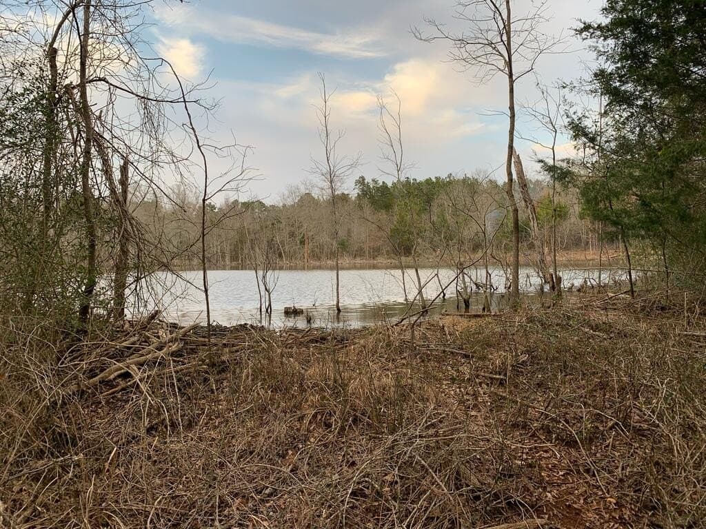 23 acres in Texas County - photo 13
