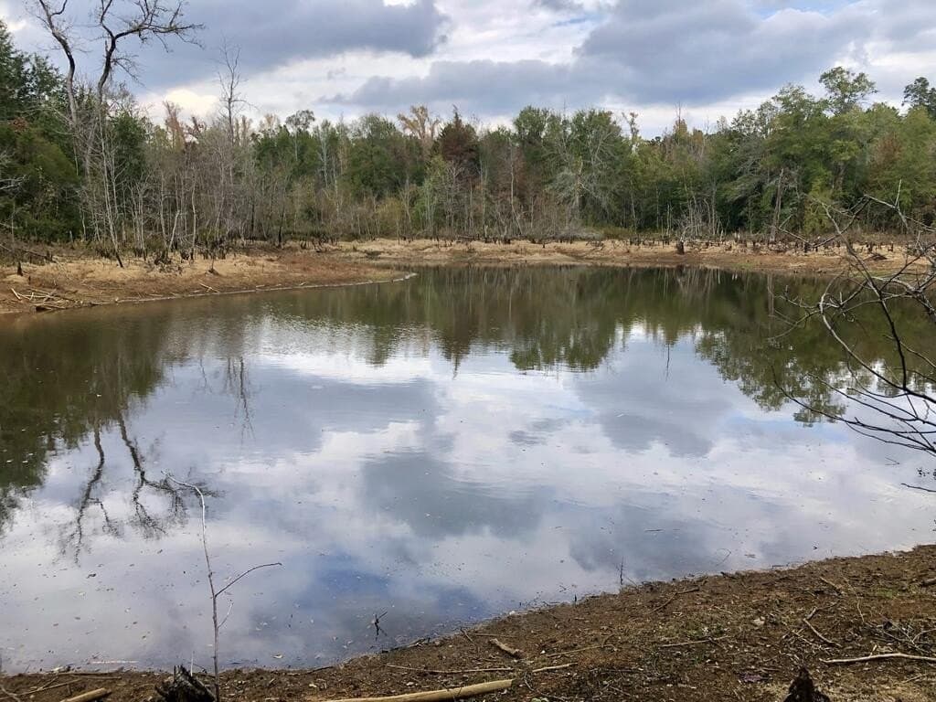 23 acres in Texas County - photo 15