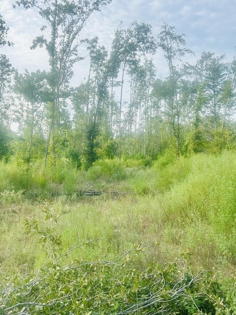 23 acres in Texas County - photo 2