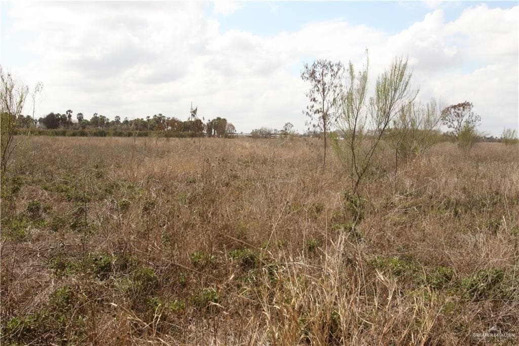 30.93 acres in Willacy County