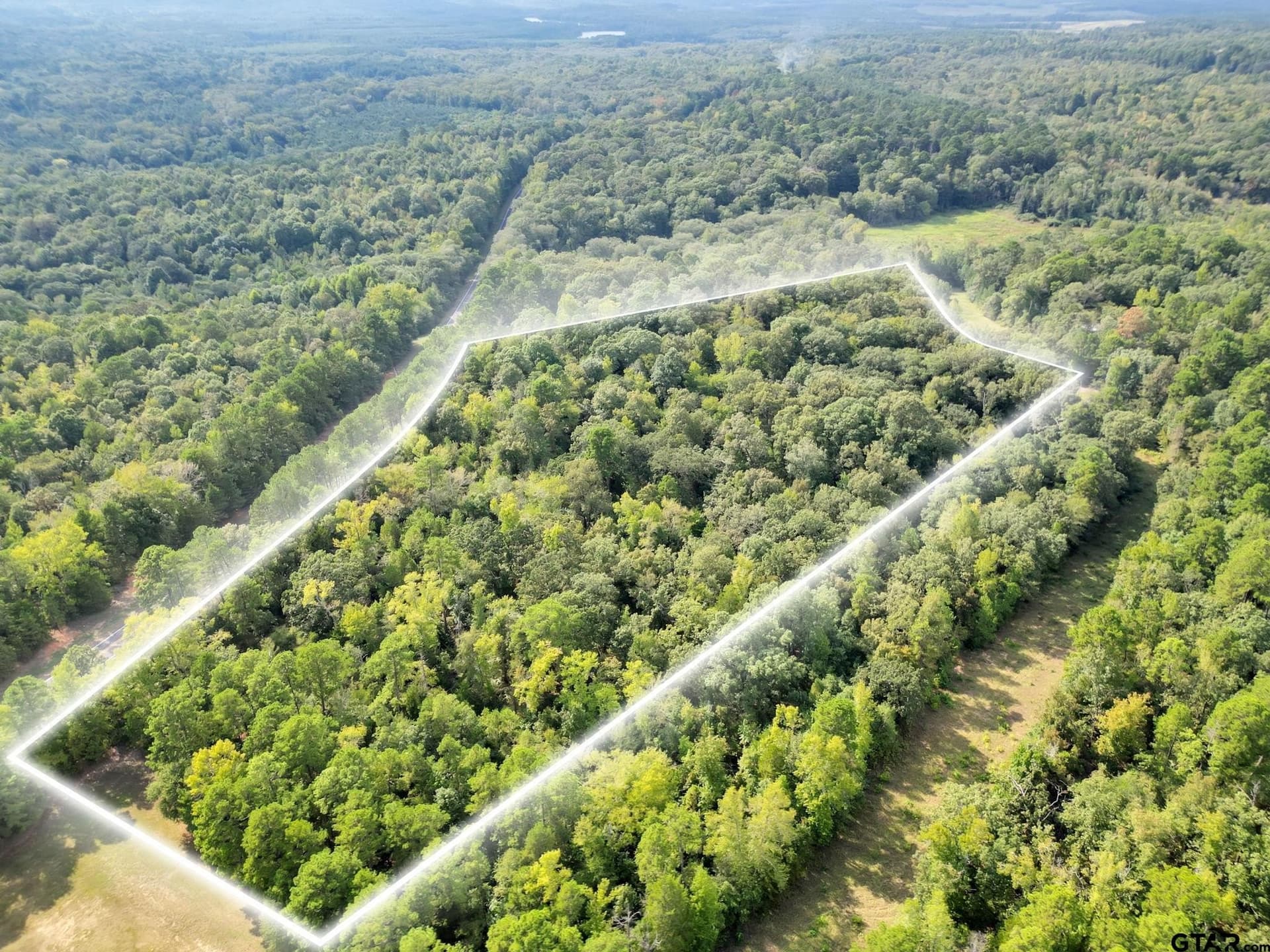 11 acres in Cass County gallery image 3