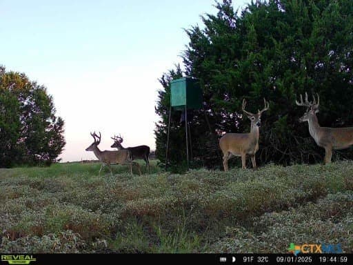 18.21 acres in Lampasas County - photo 28