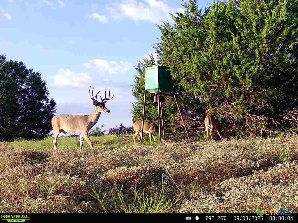18.21 acres in Lampasas County - photo 27