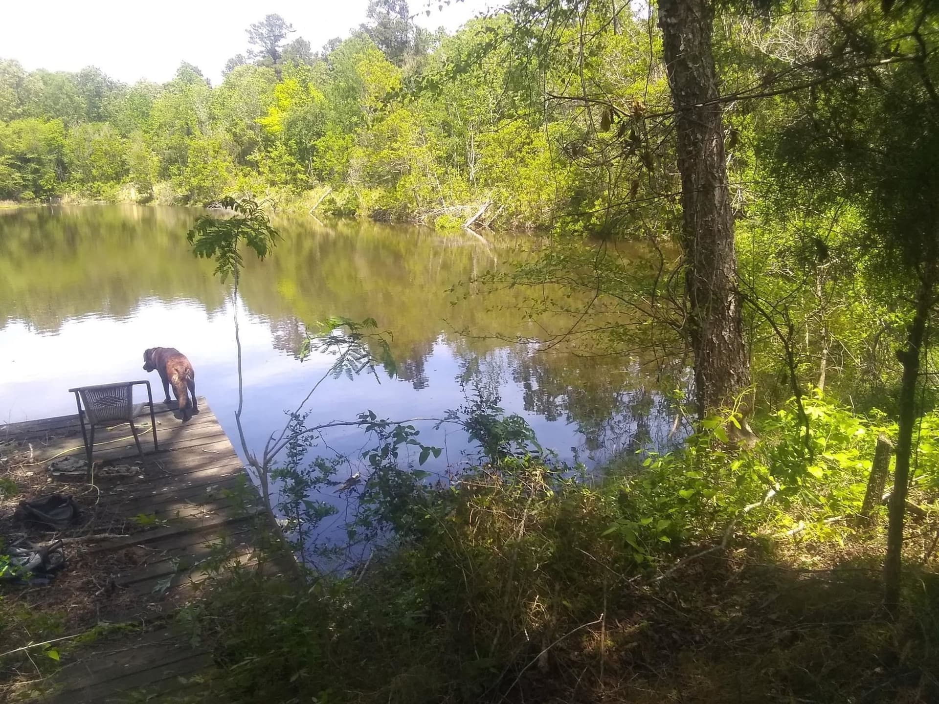 56.58 acres in Rusk County - photo 17