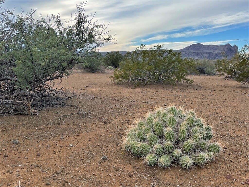 110 acres in Brewster County gallery image 4