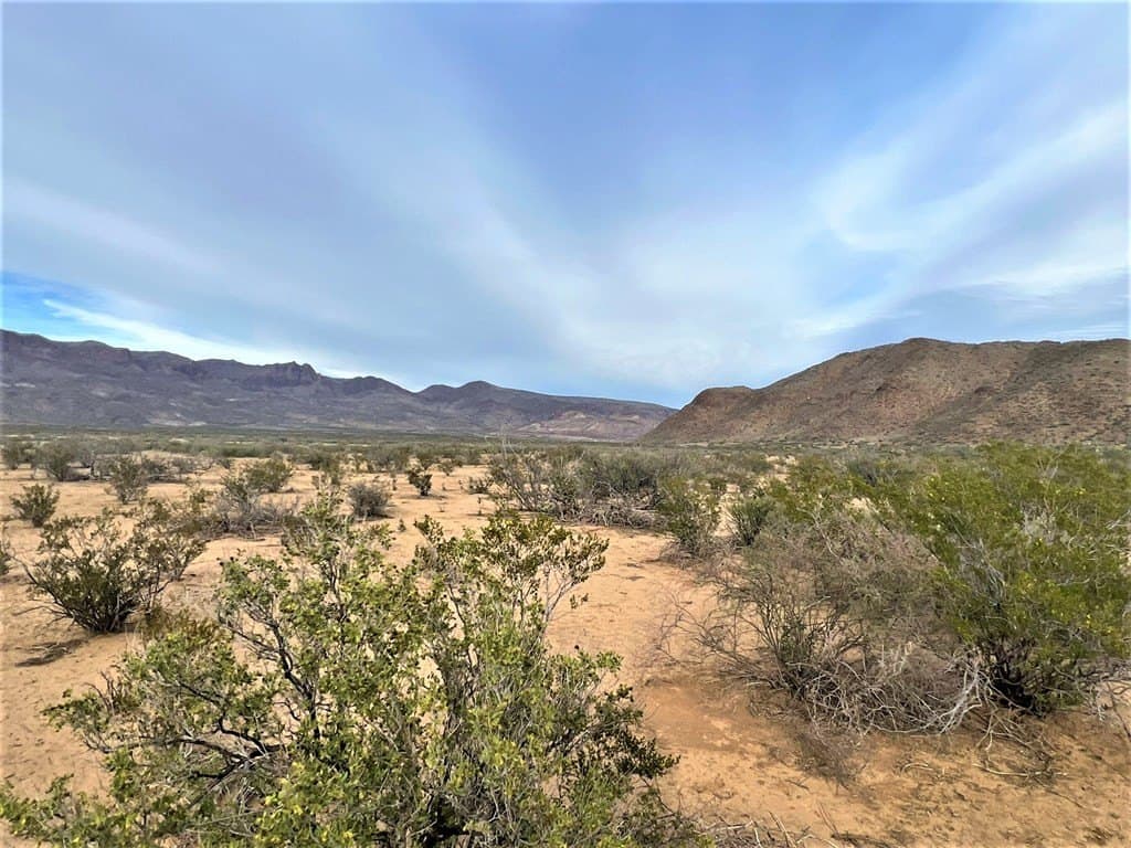 110 acres in Brewster County - photo 7