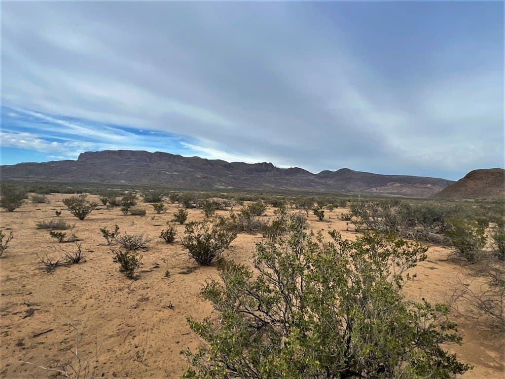 110 acres in Brewster County - photo 6