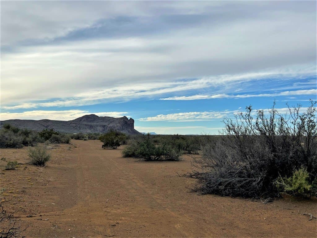 110 acres in Brewster County - photo 8