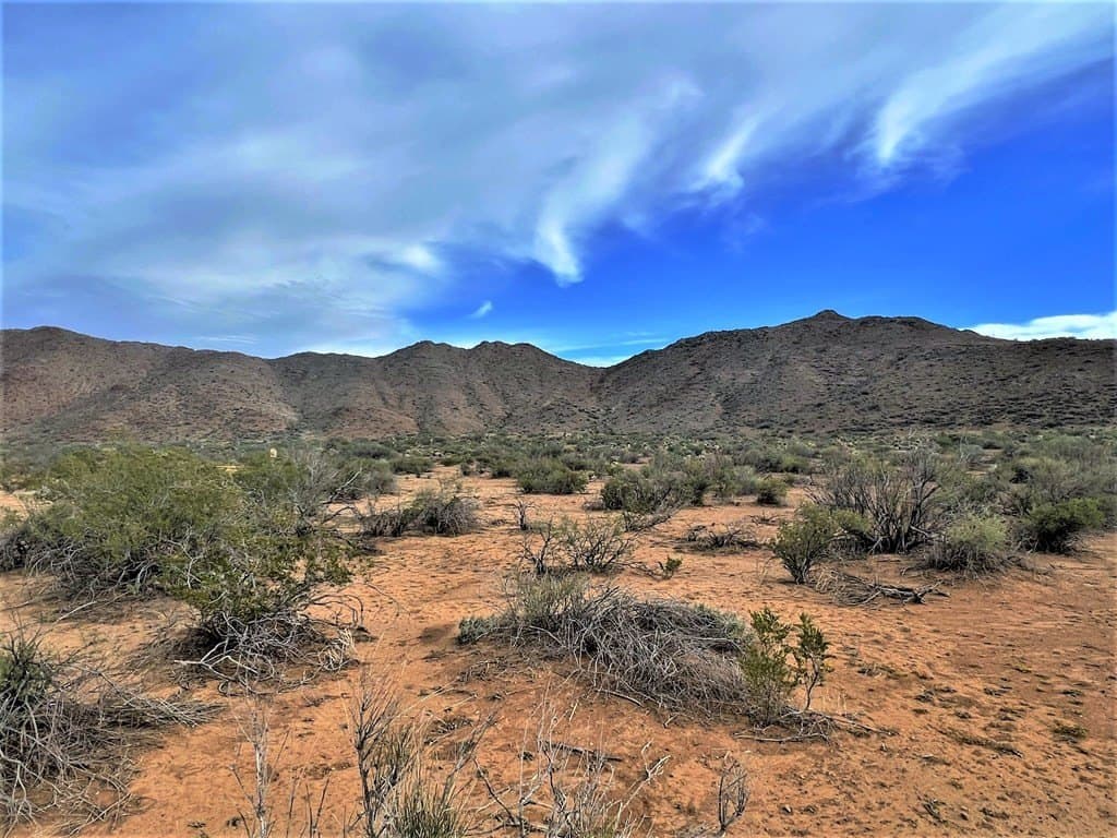 110 acres in Brewster County featured view