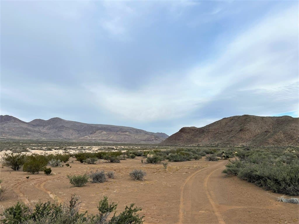 110 acres in Brewster County - photo 12