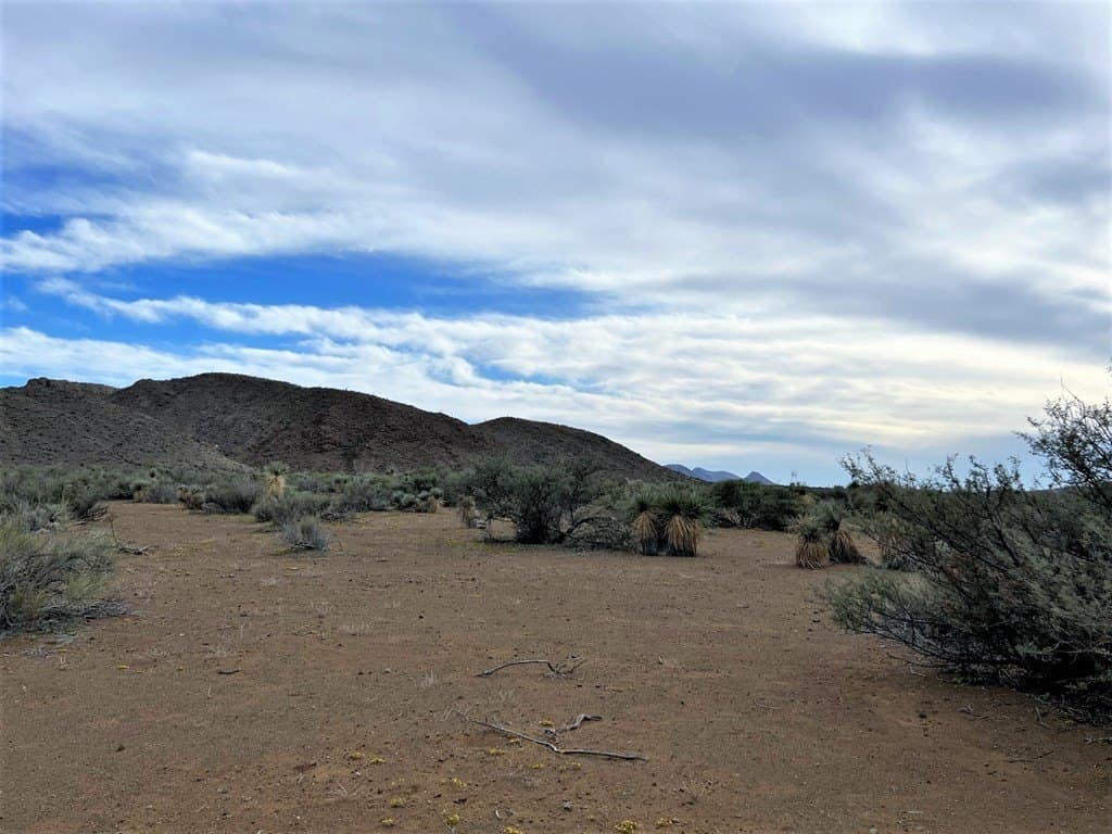 110 acres in Brewster County - photo 20