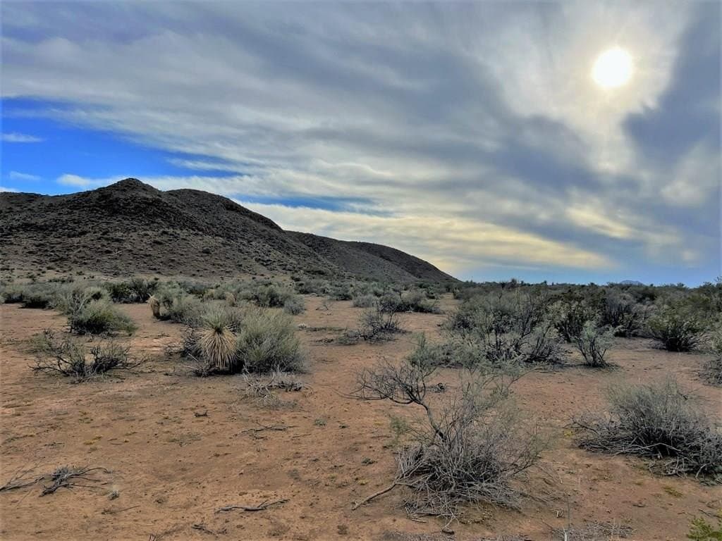 110 acres in Brewster County