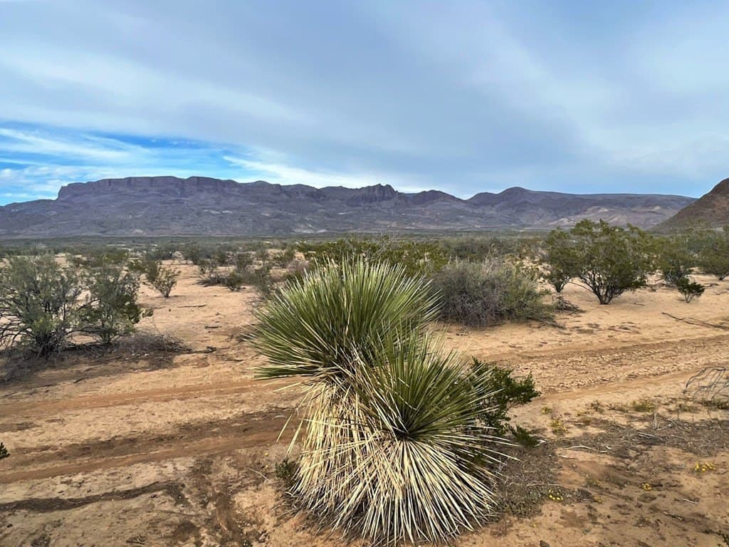 110 acres in Brewster County gallery image 3