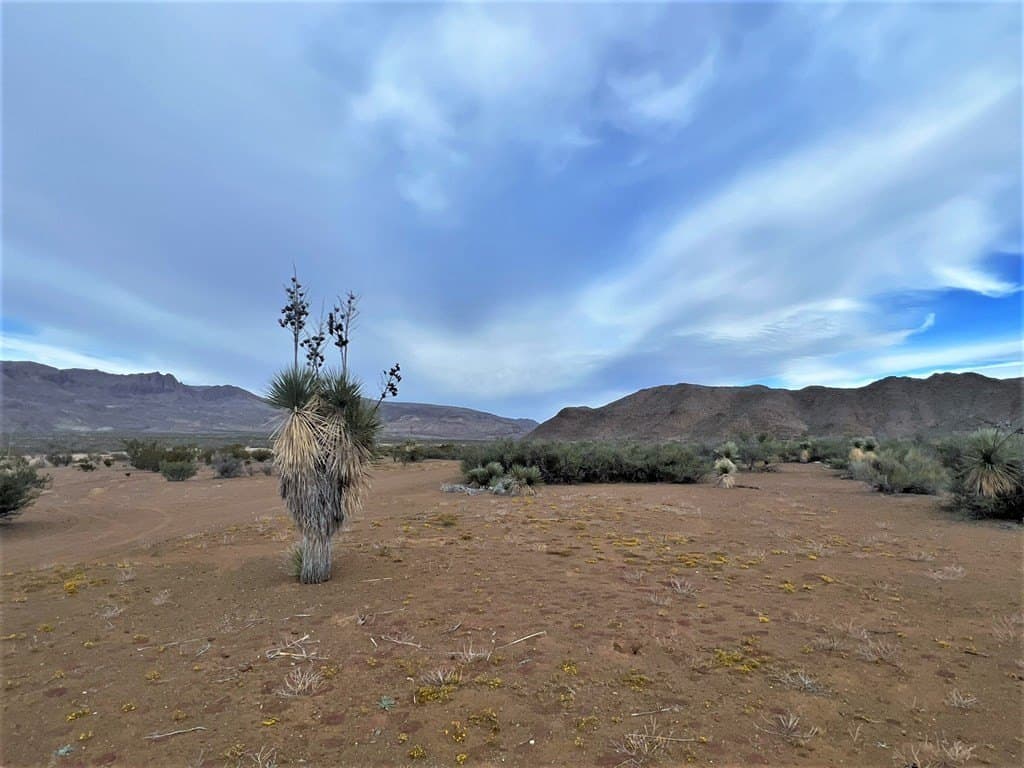 110 acres in Brewster County - photo 9