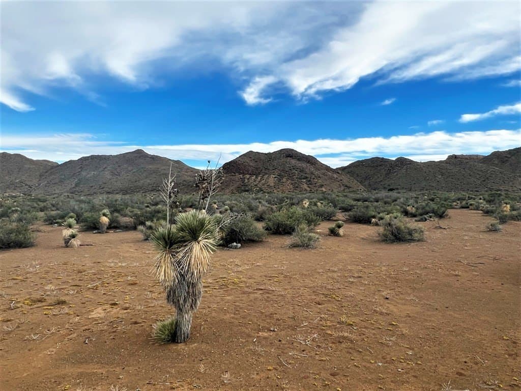 110 acres in Brewster County - photo 13