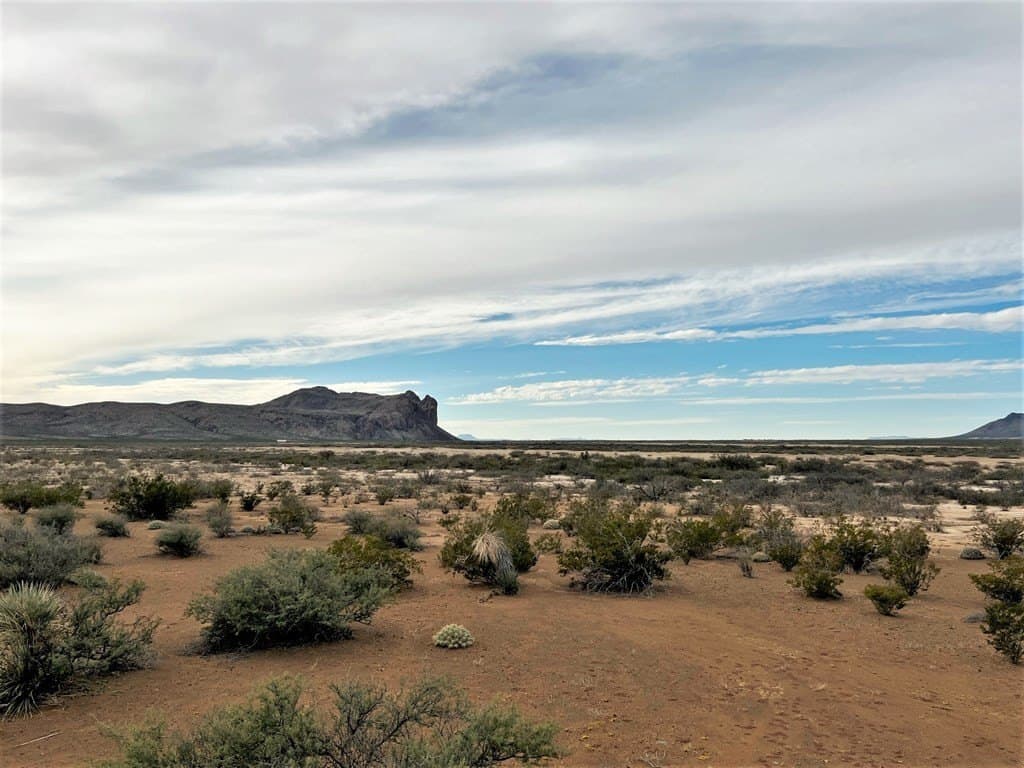 110 acres in Brewster County - photo 11