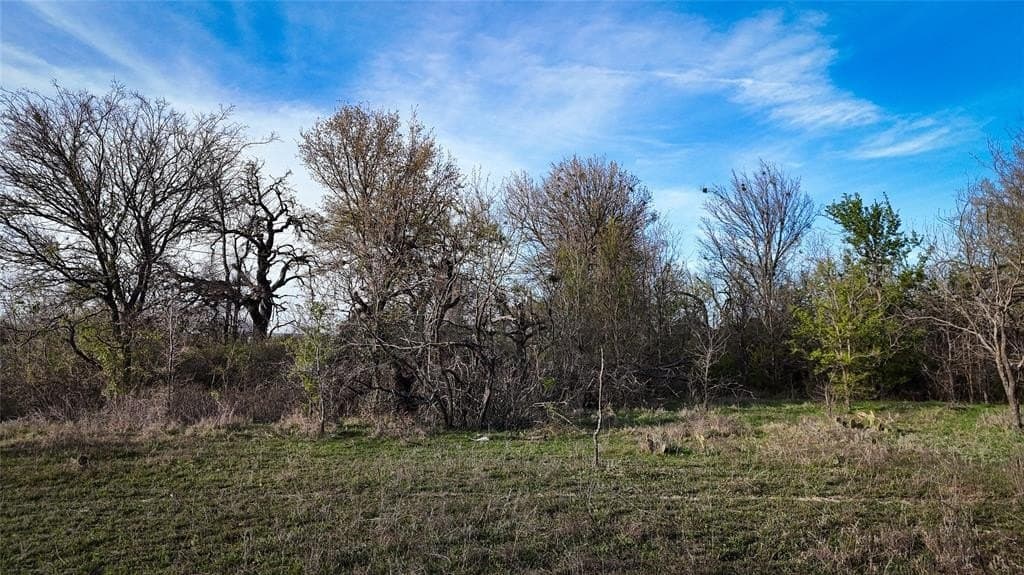 13.7 acres in Erath County gallery image 3